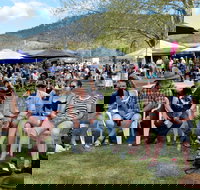 Jamming at Jingellic - Sydneys Hotel