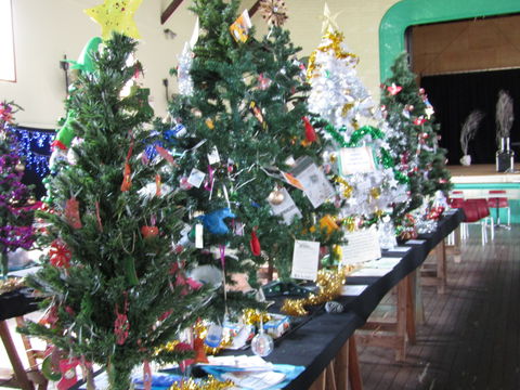 Mount Morgan Christmas Tree Festival - Sydneys Hotel 0