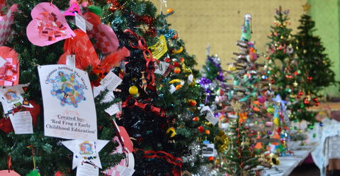 Mount Morgan Christmas Tree Festival - Sydneys Hotel 2