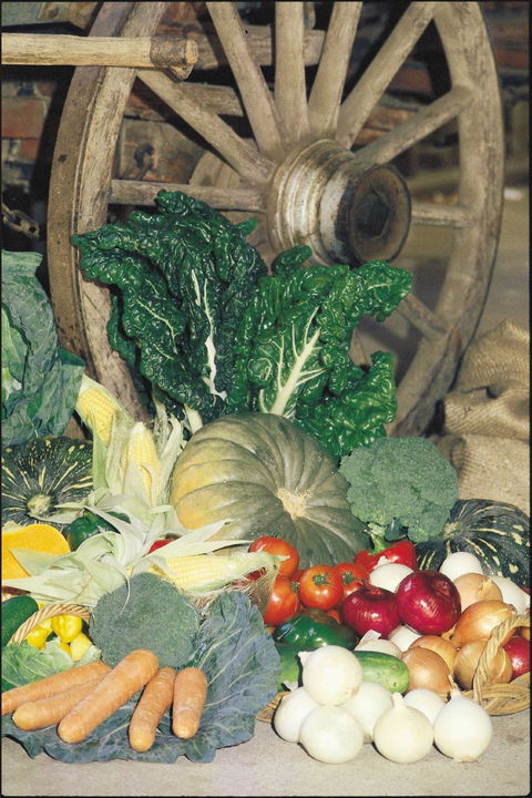 Mulgowie Real Farmers Markets - Sydneys Hotel 0