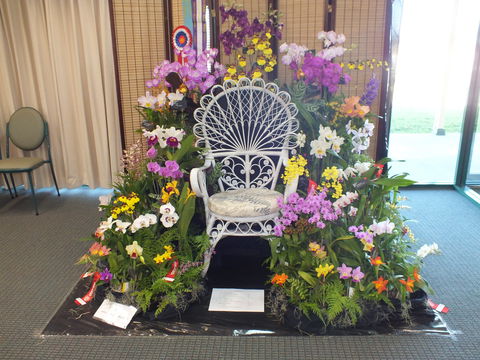 Orchids Out West - Sydneys Hotel 0