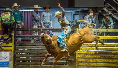 Top Gun And Young Gun Series Round 9 - Sydneys Hotel 0