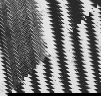 WA Now  Tom Mller Monolith Scores - Sydneys Hotel