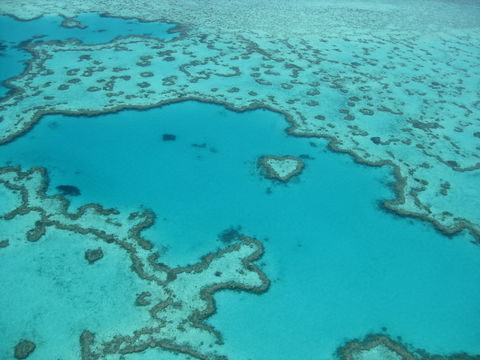 Australian Superyacht Rendezvous 2020 - Great Barrier Reef Edition - Sydneys Hotel 2
