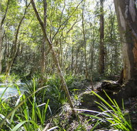 Bottlebutt Bash Trail Run - Sydneys Hotel