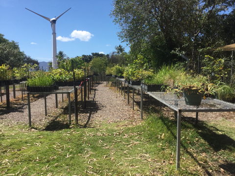 Conservation Volunteers Australia Townsville - Ocean View Nursery - Sydneys Hotel 0