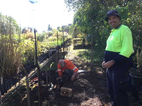Conservation Volunteers Australia Townsville - Ocean View Nursery - Sydneys Hotel 1