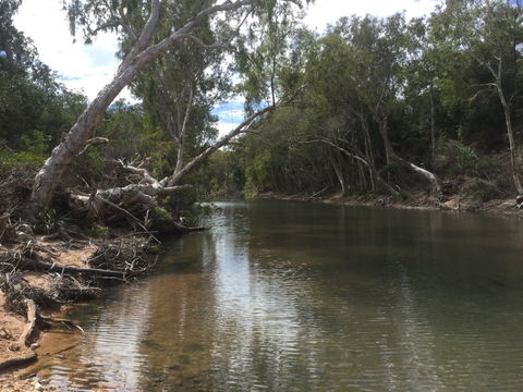 Conservation Volunteers Australia Townsville - Creekwatch - Sydneys Hotel 2