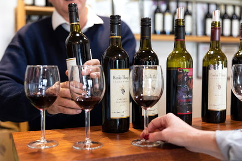 Coonawarra Cellar Dwellers - Sydneys Hotel 2