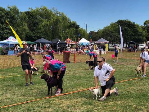 Dogs In The Park Shell Harbour - Sydneys Hotel 1