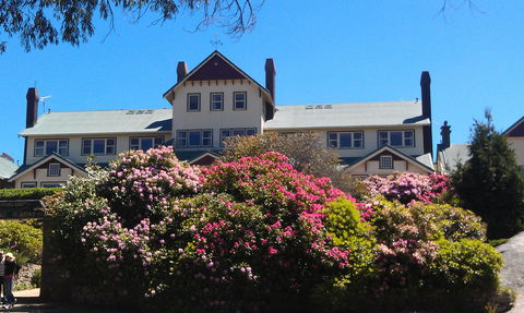 Hedonistic Hiking's Mount Buffalo Hike And Picnic - Sydneys Hotel 1