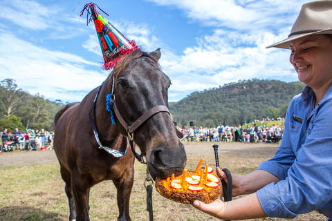 Horses Birthday Festival - Sydneys Hotel 0