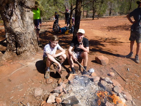 July 2020 Holidays- Forest, Smores & Explore - Sydneys Hotel 1