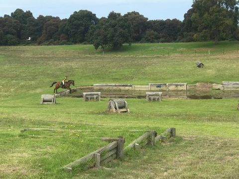 Mount Gambier And District Pony Club Horse Trials 2020 - Sydneys Hotel 0