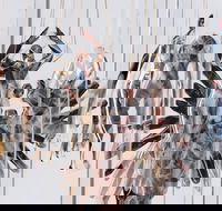 Pulse Perspectives - Virtual Exhibition - Sydneys Hotel