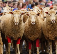 Rosto Merriwa Festival of the Fleeces - Sydneys Hotel