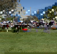 Sakura Matsuri  - Cherry Blossom Festival - in doubt due to Covid-19 - Sydneys Hotel