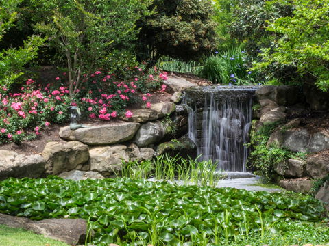 Spring Time At Hunter Valley Gardens - Sydneys Hotel 1