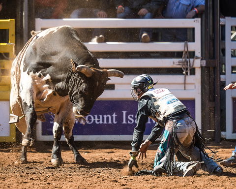 The 2020 Virtual Mount Isa Mines Rodeo - Sydneys Hotel 2