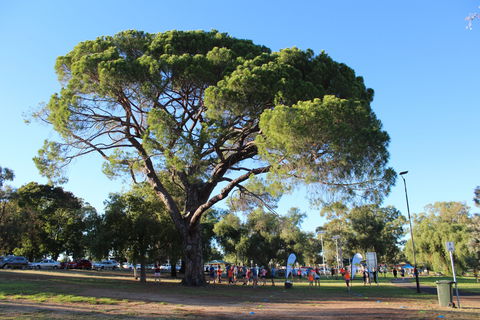 Wagga Parkrun - Sydneys Hotel 1