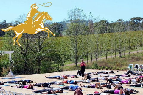 Yoga In The Vines - Sydneys Hotel 0