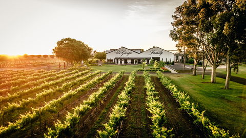 Aged Wine And Vintage Pies - Sydneys Hotel 2
