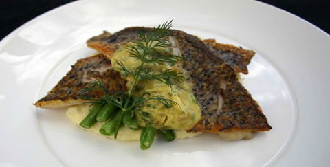 Aquarius Seafood Restaurant - Sydneys Hotel 2