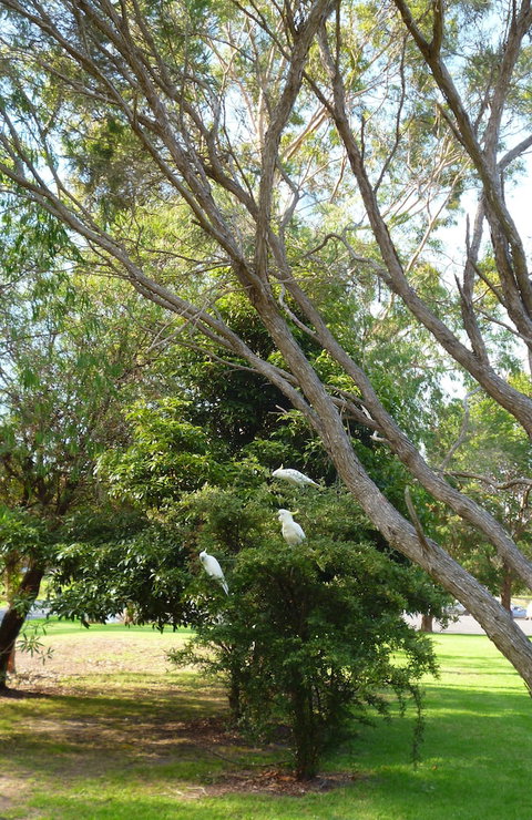 Coachman's Eden - Sydneys Hotel 4