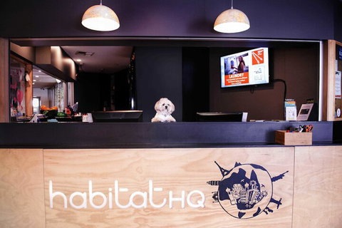 Habitat HQ - Hostel - Sydneys Hotel 3