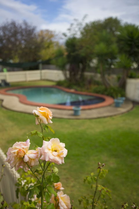 Rose Garden Motel - Sydneys Hotel 3