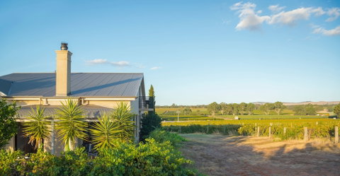 Barossa Shiraz Estate - Sydneys Hotel 0