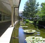 ANU University House Hotel - Sydneys Hotel