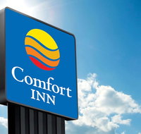 Comfort Hotel Sydney City - Sydneys Hotel