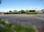 The Barossa Motel - Sydneys Hotel 6