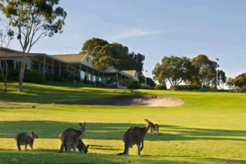 Early Settlers Motel Tocumwal - Sydneys Hotel 6