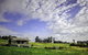 Wines For Joanie Cottage - thumb 2