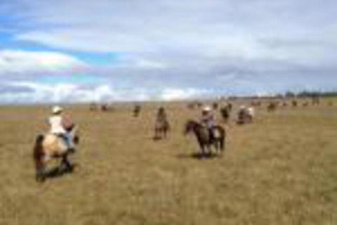 Susan River Homestead - Sydneys Hotel 0