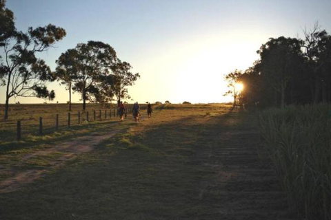 Susan River Homestead - Sydneys Hotel 2