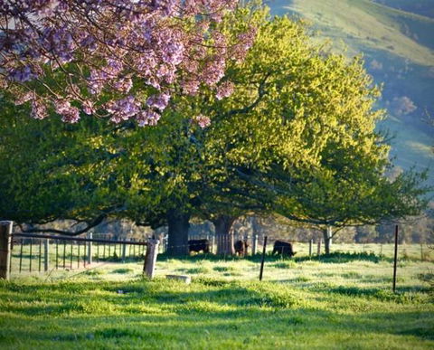 Alexandra Farmstay - Sydneys Hotel 6