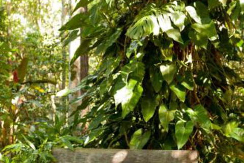 Taman Sari Private Pavilions - Sydneys Hotel 4