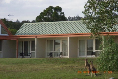 Rothbury Escape - Sydneys Hotel 0