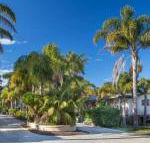 Mollymook Caravan Park - Sydneys Hotel