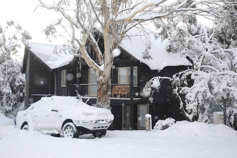 Milkwood - Sydneys Hotel 1