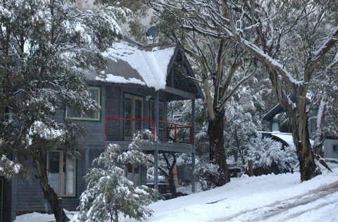 Milkwood - Sydneys Hotel 3