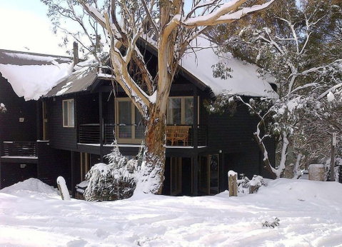 Milkwood - Sydneys Hotel 4