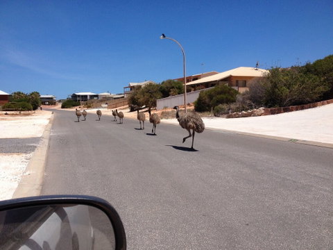 Shark Bay B & B - Sydneys Hotel 6