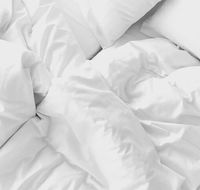 Sydney Coastal Comfort - Sydneys Hotel