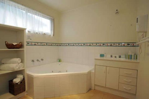 BIG4 Anglesea Holiday Park - Sydneys Hotel 2