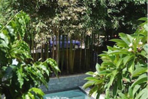 Plantation Red Hill Brisbane - Sydneys Hotel 1