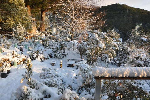 Pipeline Chalet Kunanyi Mt. Wellington - Sydneys Hotel 4